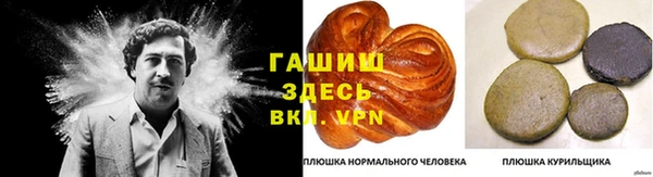 мяу мяу мука Магас