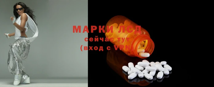 мяу мяу мука Магас