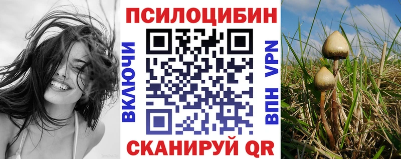 Псилоцибиновые грибы Psilocybe  Купить где  Ардон 